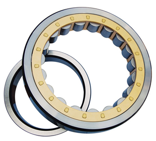 SINGLE ROW CYLNIDRICAL ROLLER BEARINGS