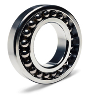 2313 2RS BEARING