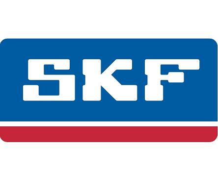 SKF RULMAN